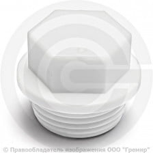 Заглушка PP-R белая НР (НАР) Дн 25-3/4" PRO VALFEX