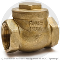 Клапан обратный поворотный латунный Ду-25 (1") Ру-16 ВР (ВН) (Т<110°С) латунь N6 Giacomini