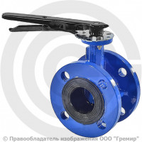 Затвор чугунный поворотный фланцевый Ду-65 Ру-10/16 из чугуна EPDM с чугунным диском Benarmo