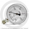 Манометр радиальный диаметр 100мм 0-25 кгс/см2 (0-2,5 МПа) G1/2" МП-100 Завод теплотехнических приборов