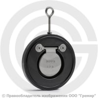 Клапан обратный одностворчатый стальной межфланцевый Ду-80 Ру-16 (Т<110°С) диск нерж Benarmo