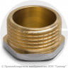 Заглушка латунная НР (НАР) Ду-20 (3/4") никель Aquasfera