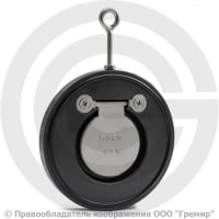 Клапан обратный одностворчатый стальной межфланцевый Ду-250 Ру-16 (Т<110°С) диск нерж Benarmo