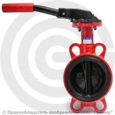 Затвор дисковый поворотный межфланцевый Ду-65 Ру-16 EPDM HT с чугунным диском АДЛ Гранвэл ЗПТС-FL(W)-MN-HT