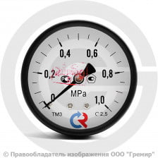 Манометр осевой диаметр 63мм 0-10 кгс/см2 (0-1,0 МПа) G1/4" ТМ-310Т.00 Росма 00000008922