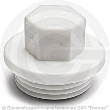 Заглушка PP-R белая НР (НАР) Дн 3/4" Pro Aqua