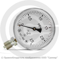 Манометр радиальный диаметр 100мм 0-25 кгс/см2 (0-2,5 МПа) G1/2" МТ-100 Багория