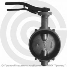 Затвор дисковый поворотный межфланцевый Ду-125 Ру-16 с чугунным диском Giacomini R59W