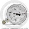 Манометр радиальный диаметр 100мм 0-25 кгс/см2 (0-2,5 МПа) М20х1,5 МТ-100 Багория