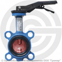 Затвор дисковый поворотный межфланцевый Ду-65 Ру-16 с нержавеющим диском Giacomini R59W