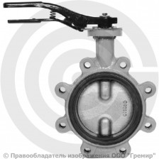 Затвор дисковый поворотный межфланцевый Ду-125 Ру-16 с чугунным диском Giacomini R59FL
