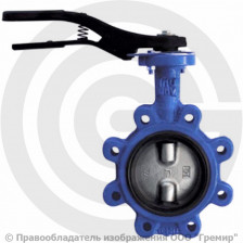 Затвор дисковый поворотный межфланцевый Ду-65 Ру-16 двойной шток с нержавеющим диском Giacomini R59FL
